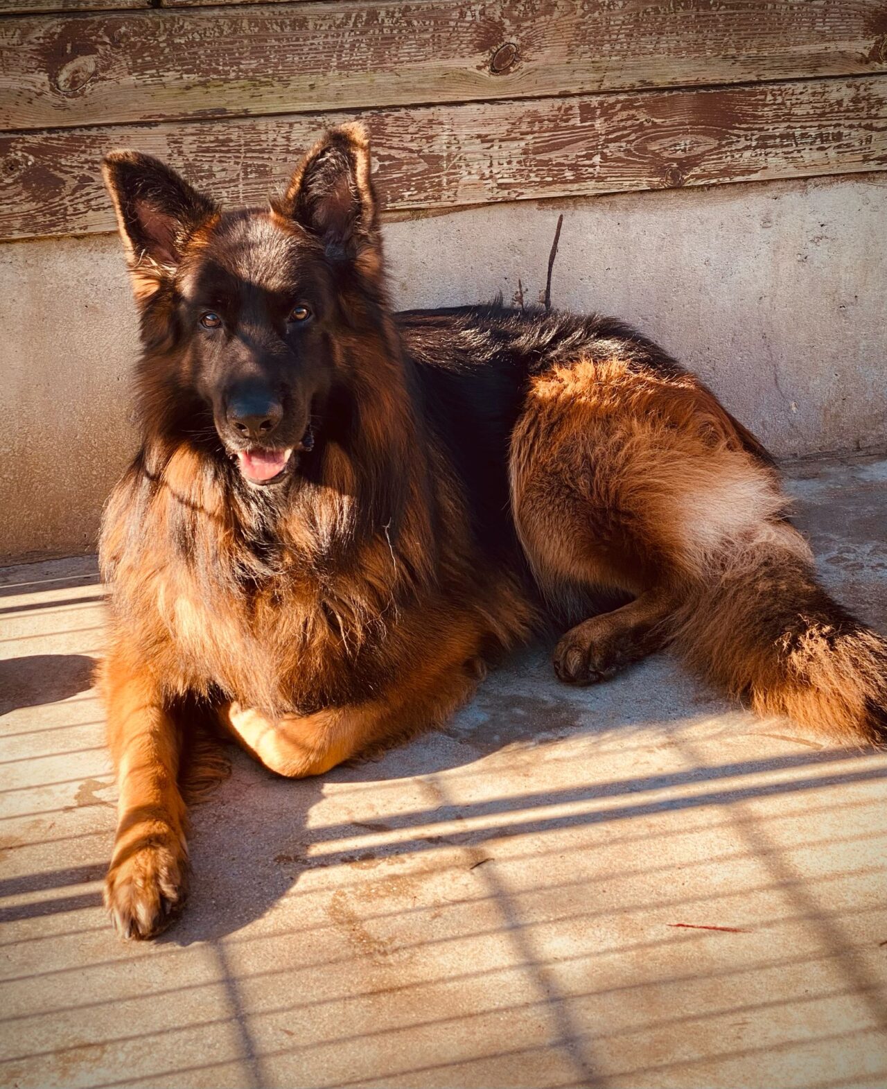 PAGE ACCUEIL section equipemement bas gauche