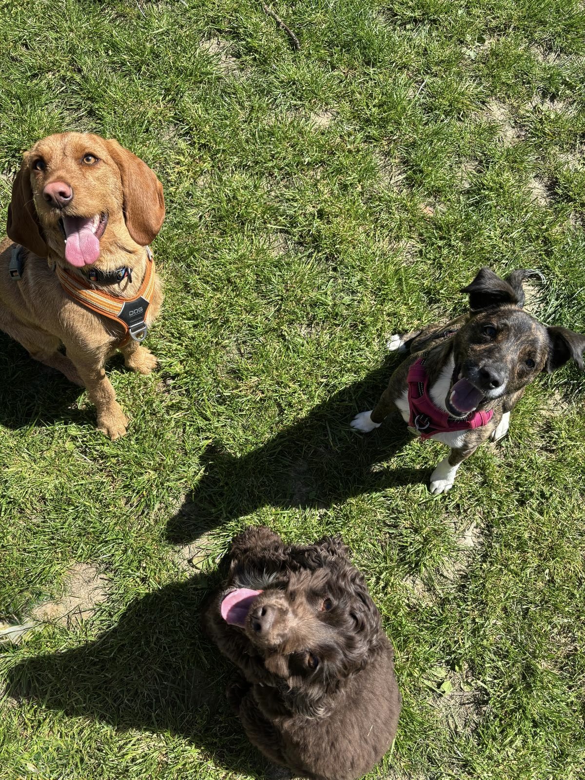 PAGE LE DOMAINE section bandeau La confiance