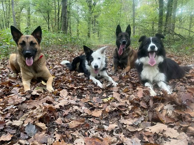 PAGE SERVICES section bandeau