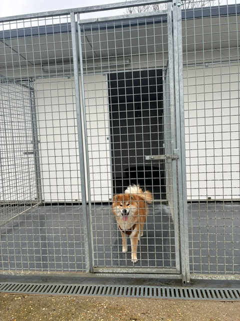 PAGES SERVICES section bandeau section services annexes