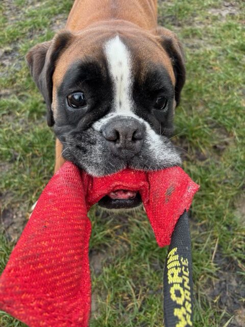 SECTION SERVICES services annexe en bas à droite